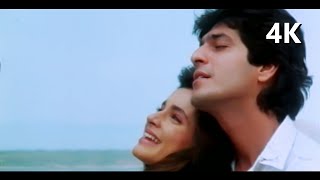 Tujhko Maine Dil Diya Tujhse Maine Pyar Kiya  Khule Aam Video Song  90s Sadhana Sargam Gautam Roy [upl. by Akyssej]