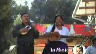 CHOLITA POCOATEñITA Wayño Los Pocoateños [upl. by Ayk]