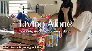 Living Alone in the Philippines What does a 3k grocery look like ref restock cooking hiking 🏔️ [upl. by Kacie857]