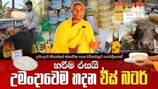 හරිම රසයි උමංදාවෙම හදන චීස් බටර් umandawa [upl. by Pedro]