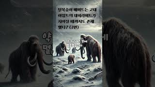 털북숭이 매머드는 고대 이집트의 대피라미드가 지어질 때까지도 존재했다 2편 [upl. by Esilehc243]