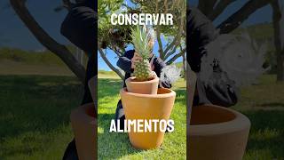 Conserva alimentos 💡 Sin electricidad Pt4 [upl. by Kylstra]