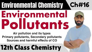 L3 Environmental pollutants  Air pollution  primary and secondary pollutants  ch16 class 12 [upl. by Jonas]