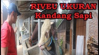 RIVIEW KONSEP DAN UKURAN KANDANG SAPI SEMI TERBUKA [upl. by Melinda]