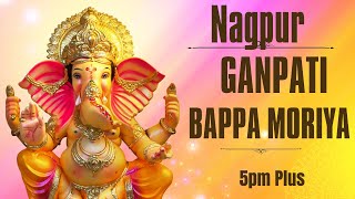 Ganpati Bappa Morya ⚘ Ganpati Bappa Festival 🙏 5pm Plus [upl. by Odlonyer530]