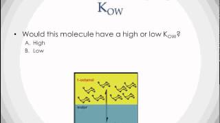 Concept Review Kow [upl. by Ecnerrat981]