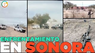 Enfrentamiento en Hermosillo Sonora [upl. by Euqinimod446]