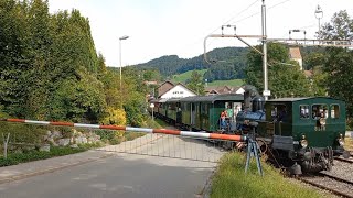 Bahnübergang Bäretswil CH  Swiss Railroad Crossing [upl. by Arnaldo]