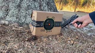 Crosman stinger P311 review and shooting Amazon Airsoft Reviews [upl. by Adan]