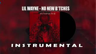 Lil wayne No New Btches Instrumental [upl. by Stannfield779]