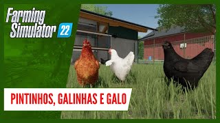 Galinhas Compra alimentação e criação no FARMING SIMULATOR 22 [upl. by Hedwig]