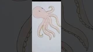 HOW TO DRAW OCTOPUS [upl. by Judah]