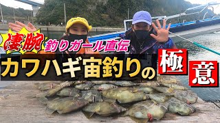 【カワハギ釣り】カワハギの達人に秘伝の宙釣り釣法を教わりながら挑んでみた結果【二宮丸】【相模湾】 [upl. by Puiia904]