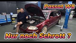 VW Passat W8  Ist der Motor noch zu Gebrauchen Weiter gehts am 8 Zylinder VW Passat [upl. by Cad]