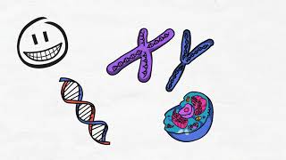 La herencia ADN genes y cromosomas [upl. by Itirahc]