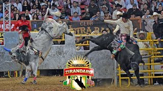 13¨ TORNEO NACIONAL DE TOROS DE REPARO USA 2019 houaton texas [upl. by Mcneil362]