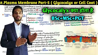 What is Cell Coat or Glycocalyx  Plasma Membrane Part5  BSc first Year  MSc  PGT  NEET [upl. by Drageruaeb321]