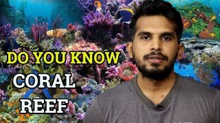 In Hindi What are Coral Reefs   Benefits of Coral Reef  Ecology UPSC IAS Exam  CJTalk [upl. by Lothario615]