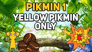 Can You Beat PIKMIN 1 With Only Yellow Pikmin [upl. by Brookner]