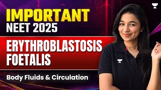 Erythroblastosis Foetalis  Body Fluids and Circulation Class 11  Important Topics NEET  NEET 2025 [upl. by Strephon]