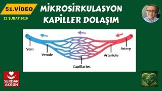 Fizyoloji Mikrosirkulasyon Serdar Akgün [upl. by Johannessen827]