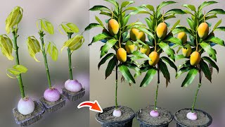 How To Grow Mango Trees From Mango Branches in Onions [upl. by Alletneuq982]