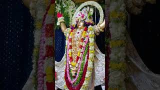 Happy Gaura Purnima  Beautiful Darshan of Gouranga Mahaprabhu [upl. by Annayat]