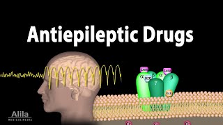 Pharmacology  Antiepileptic Drugs Animation [upl. by Ahlgren123]