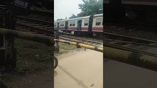 up train viralvideo funny nature instagram [upl. by Enrichetta]