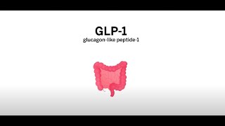 Glucagonlike Peptide GLP1  Diabetes Treatment  Semaglutide Ozempic Wegovy [upl. by Nirek146]