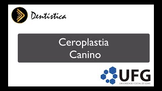 Ceroplastia Canino Superior [upl. by Ytsirhk93]