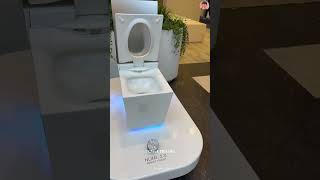 Worlds most expensive toilet [upl. by Ydnar]