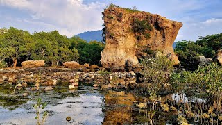 Perfectos Campsite  Lian Batangas  Vanlife Philippines  FilAmstagram  youtubeshorts [upl. by Eissirhc896]