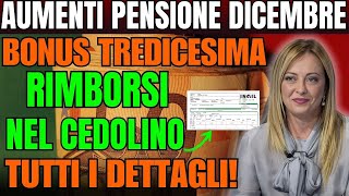 quotAumenti pensione a dicembre bonus tredicesima e rimborsi nel cedolino – Tutti i dettagliquot [upl. by Ariday26]