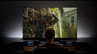 Panasonic 2019 OLED The Choice of Filmmakers And Film Lovers [upl. by Yelsna173]