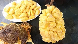 Amazing Jackfruit Cutting Skills  Amazing Way To Open a Big Jackfruit  How To Cut a jackfruit [upl. by Enirahtak]