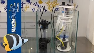 How to Build a Custom Sump for Your Reef Aquarium [upl. by Orsola]