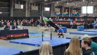 Pommel 2024 Western Nationals Arizona [upl. by Goulet]