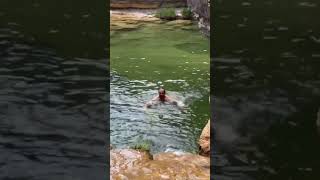 ¿Quieres saber dónde están estas impresionantes piscinas naturales [upl. by Ledif777]