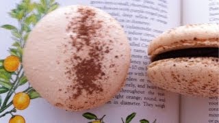 Chocolate Orange Macaron Recipe by Ann Reardon  How To Cook That Ep041 [upl. by Schellens]