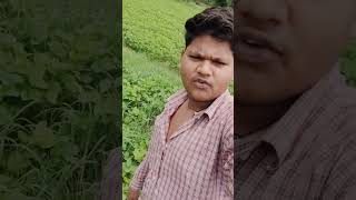 Ram dulera funny videos ll funnyvideo ramdularviral madhyapradesh [upl. by Schonthal]