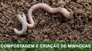 COMPOSTAGEM E CRIAÇÃO DE MINHOCAS [upl. by Aissatsana703]