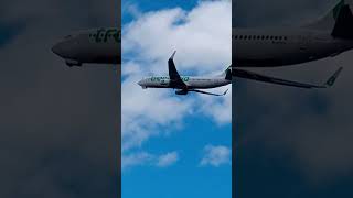 TRANSAVIA BOEING 737 TAKEOFF at Madeira Airport [upl. by Jeff]