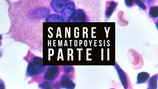 🩸SANGRE Y HEMATOPOYESIS  Parte II [upl. by Yrbua]