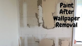 Paint Your Wall After Wallpaper Removal  Spencer Colgan [upl. by Aifas]