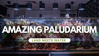 Mastering the Art of Creating a Mesmerizing Paludarium [upl. by Samled]