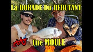 Comment pêcher la Dorade a la Moule la technique des anciens [upl. by Annawak]