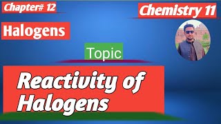 lec1 Reactivity of Halogens  Group7 elements  11 chemistry new book federal2024 [upl. by Varden]