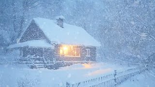 Mighty Snowstorm amp Heavy Blizzard Sounds for Sleeping  Frosty Mountain Wind Sounds amp Snow Ambience [upl. by Volney]