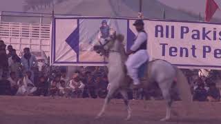 Welcome to our Ghousia Hamdania Tent Pegging Champion Ship Seyd Abad Sahreef [upl. by Thetos]